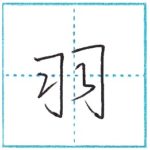 少し崩してみよう　行書　羽[u]　Kanji semi-cursive